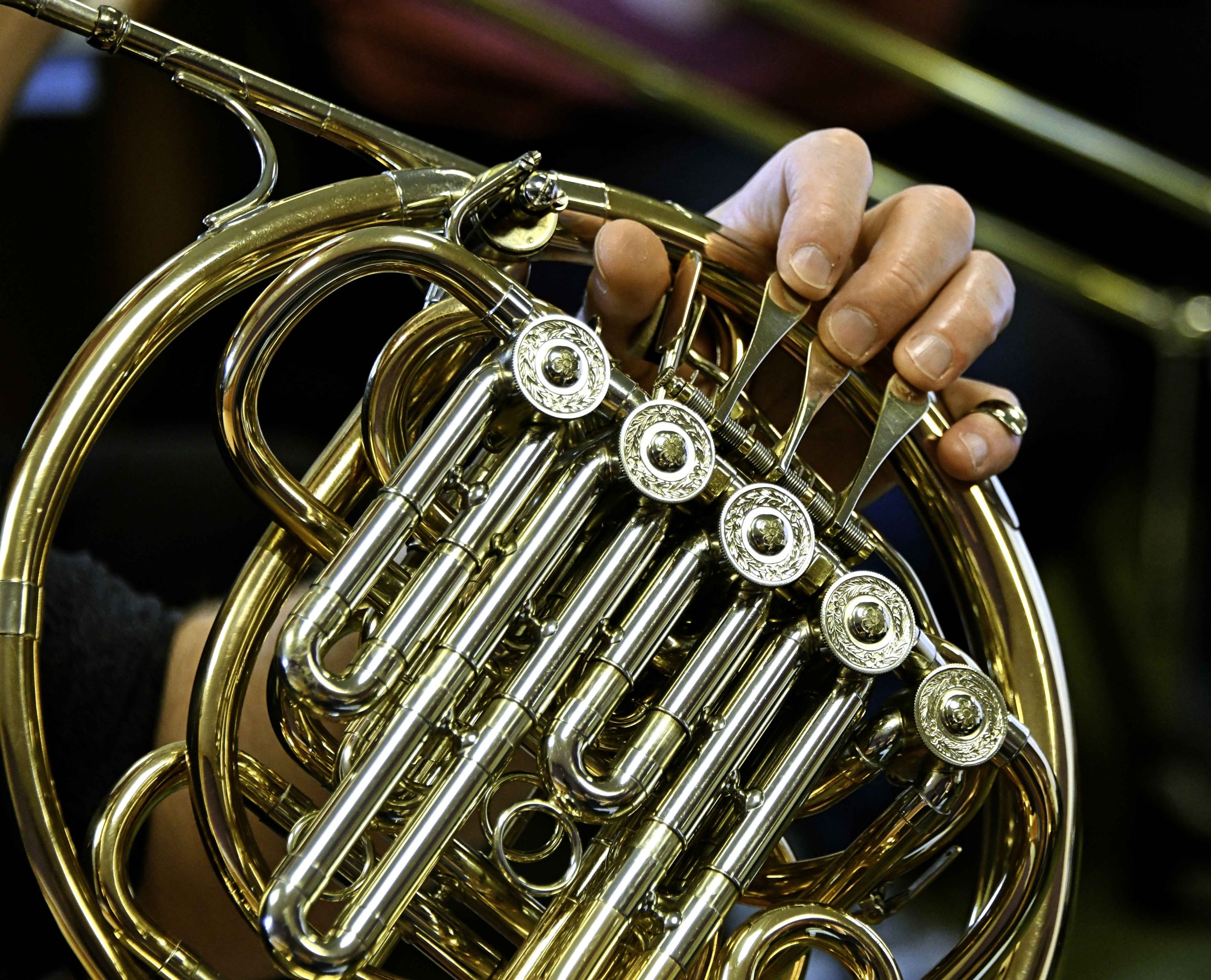 brass 24 horn web